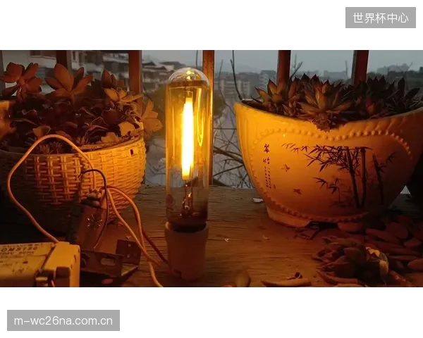 当LED光效普遍突破120lm-W后，高压钠灯在网球场新建项目中的渗透率已低于5%